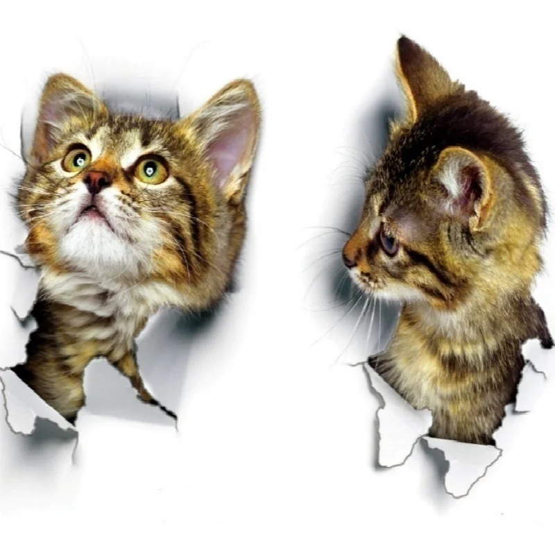 3pcs 3D Cute Cat Self-adhesive - Pvc Panel Background recensie en prijs