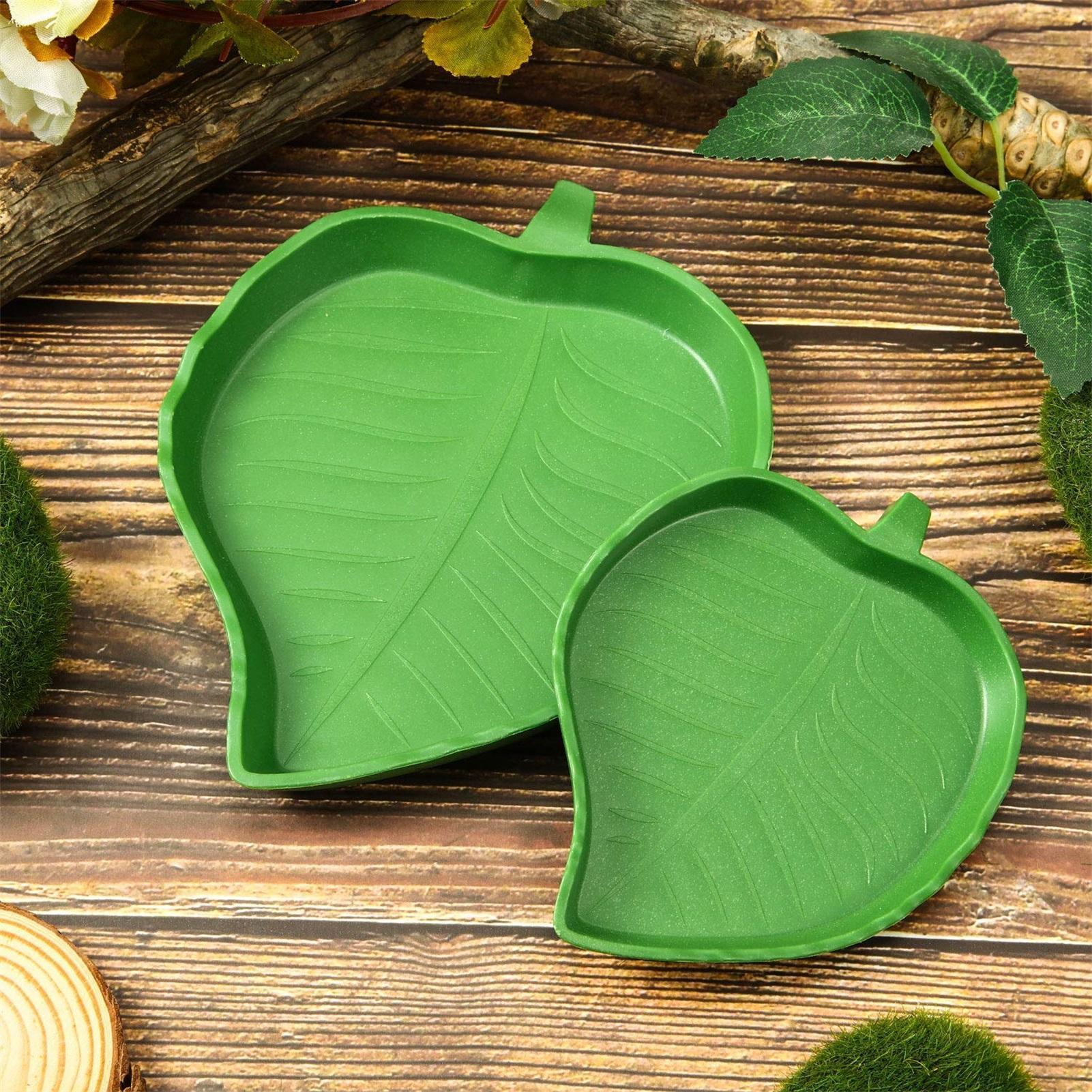 Turtle Feeding Bowl Reptile Fe - Water Dish Reptile recensie en prijs