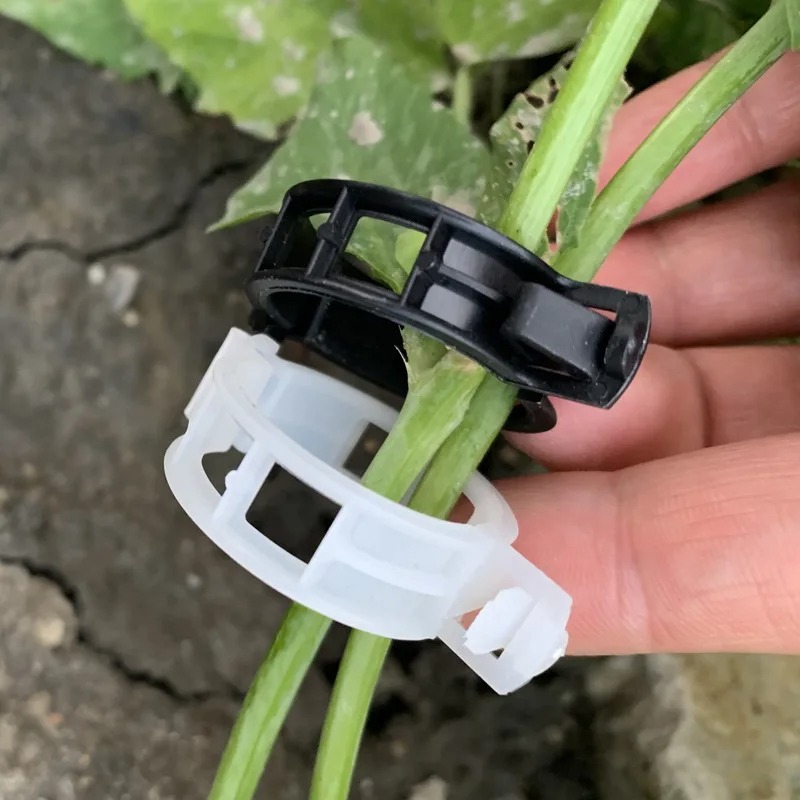 Reusable Plastic Plant Support - Vine Climbing Plastic recensie en prijs