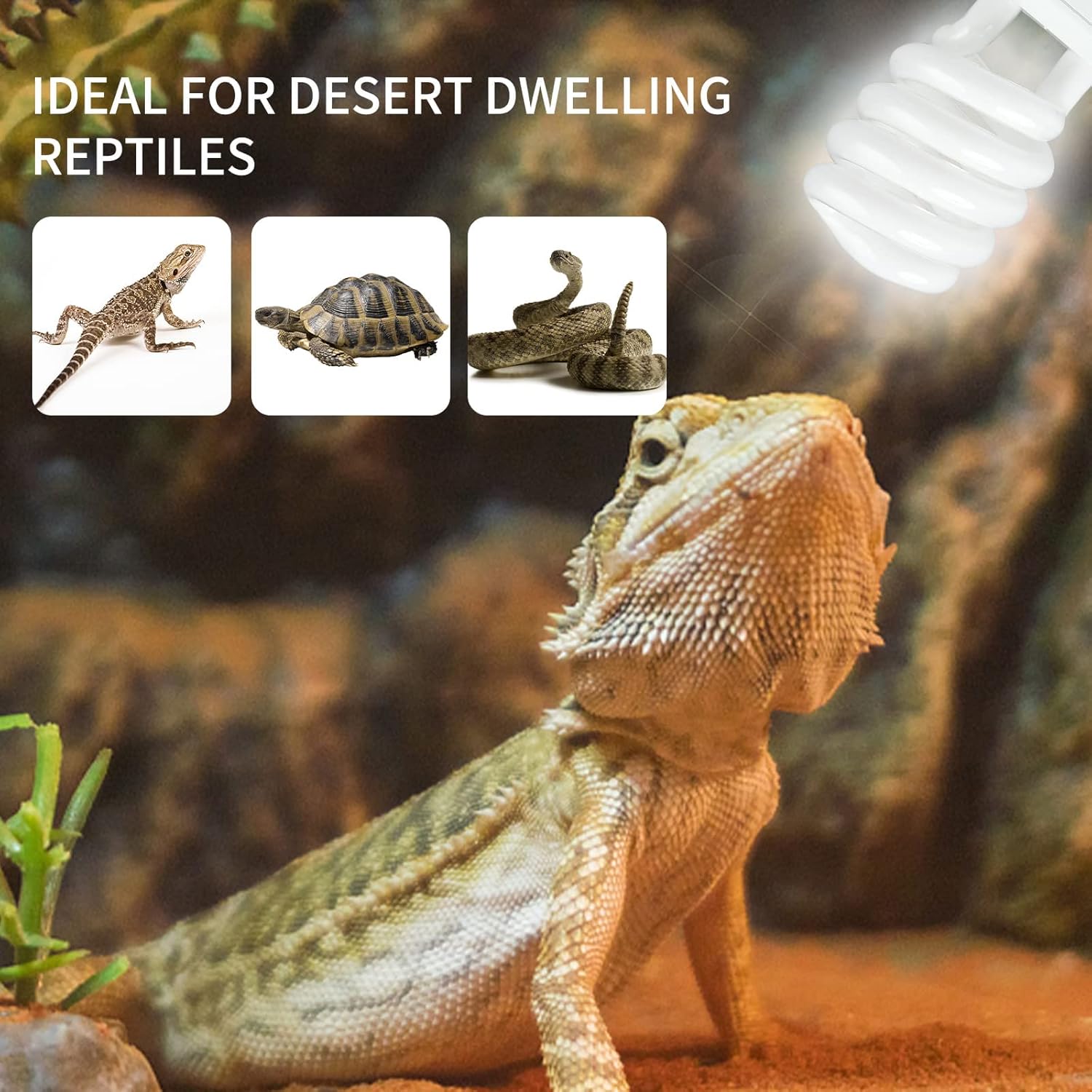 UVB 5.0 10.0 Reptile Heating L - Calcium Powder Reptile recensie en prijs