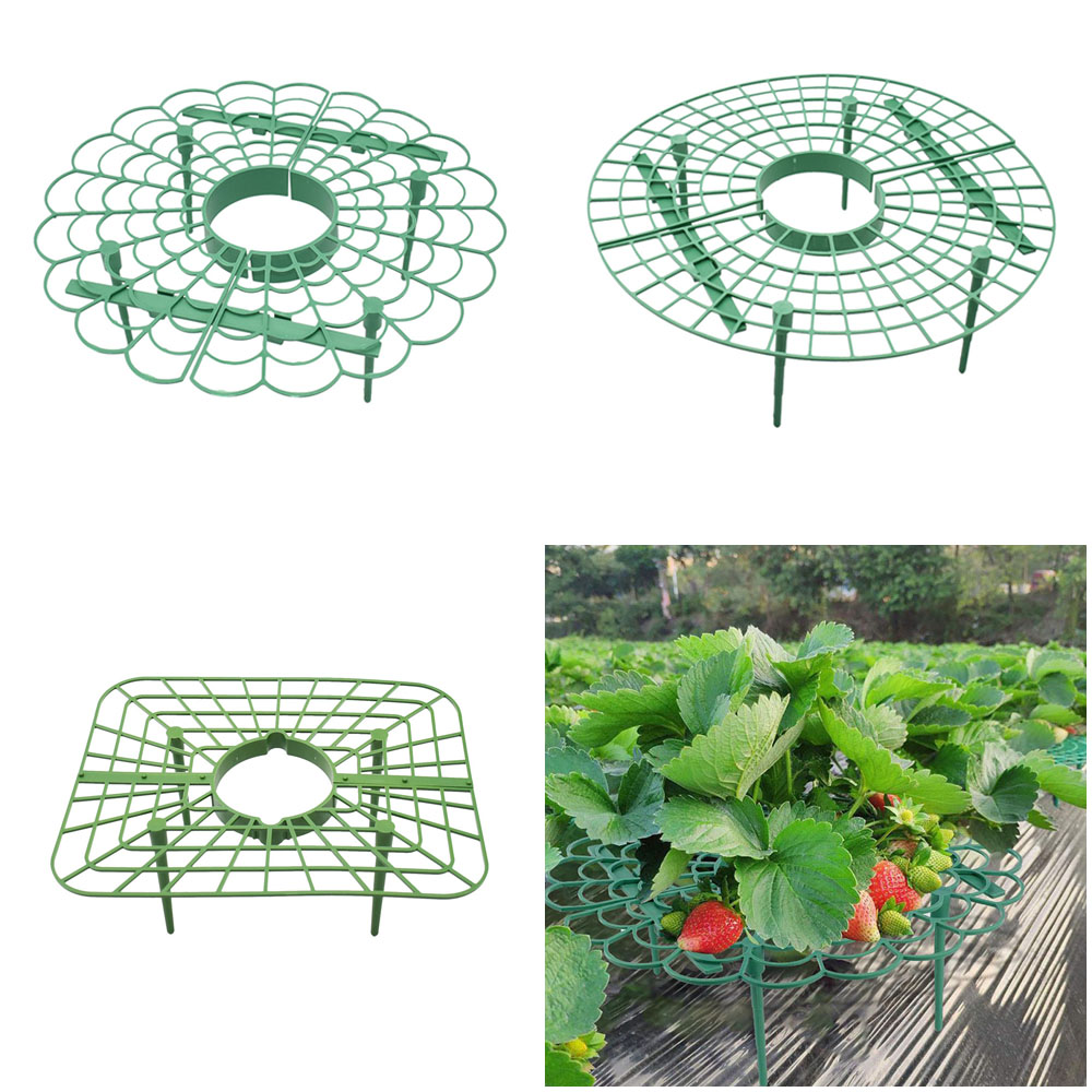 Strawberry Stand Frame Holder  - Vine Climbing Plastic recensie en prijs