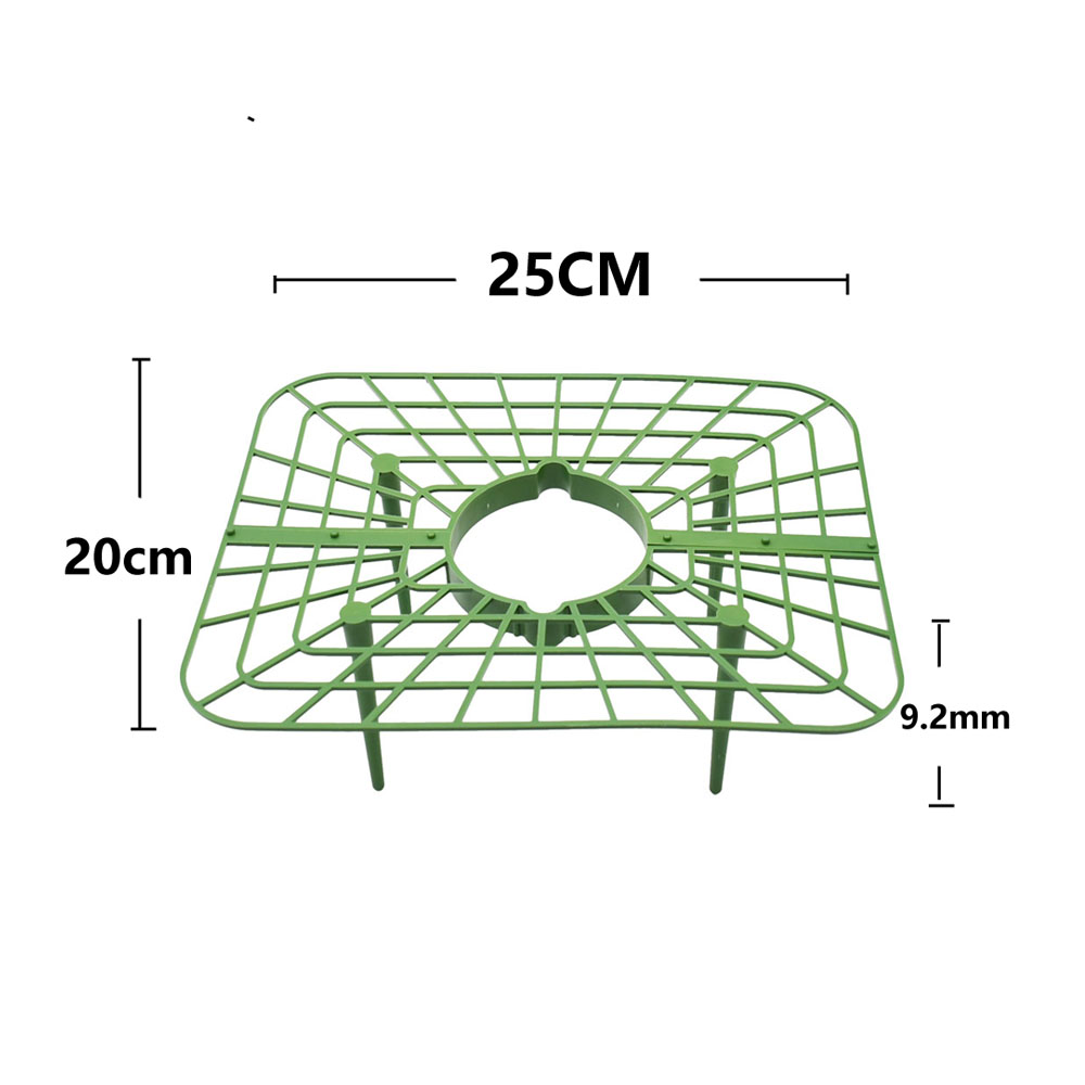 Strawberry Stand Frame Holder  - Vine Climbing Plastic recensie en prijs