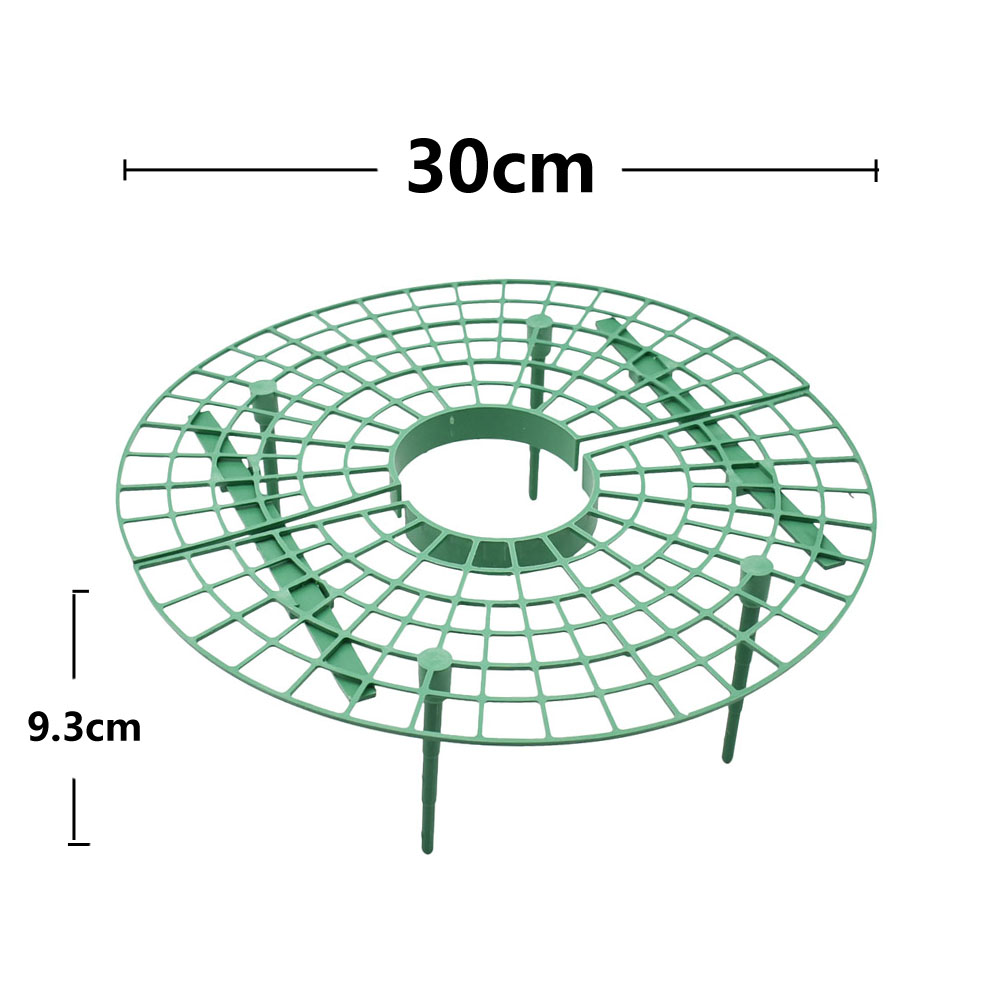 Strawberry Stand Frame Holder  - Vine Climbing Plastic recensie en prijs