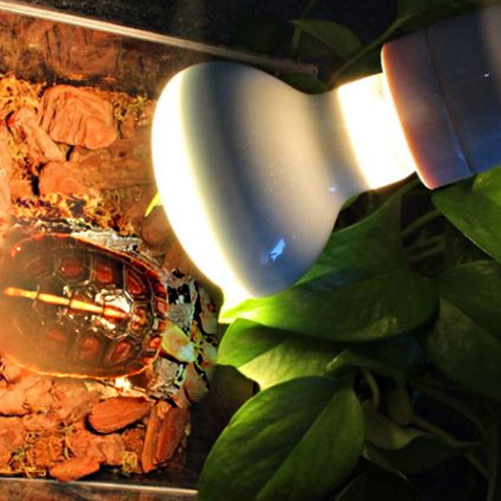 Lizard Heater Temperature Cont - Basking Bulb Halogen recensie en prijs