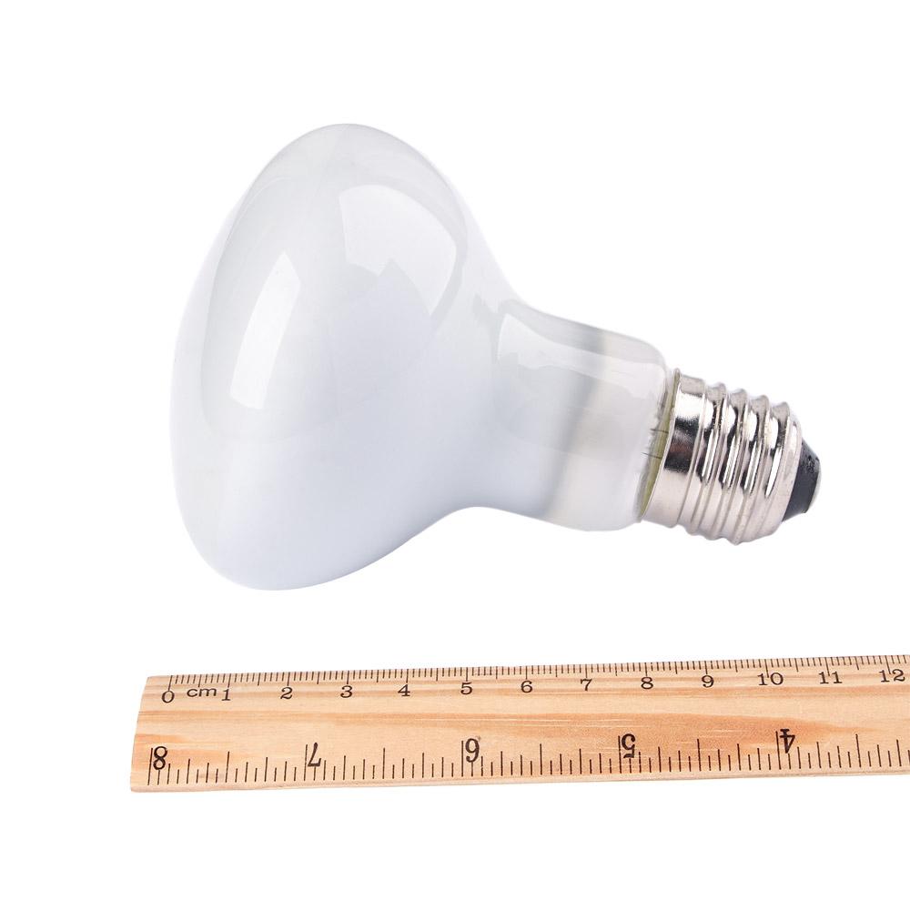 Lizard Heater Temperature Cont - Basking Bulb Halogen recensie en prijs
