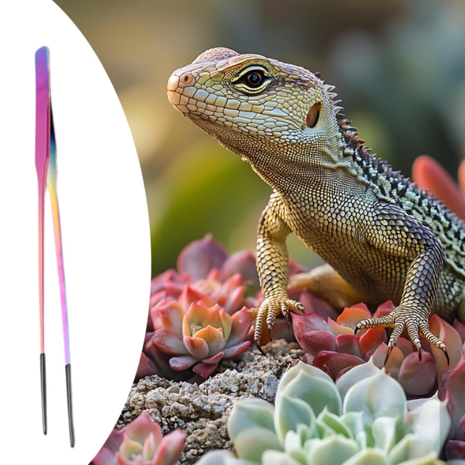 Terrarium Reptile Feeder Tongs - Feeding Tong Stainless recensie en prijs