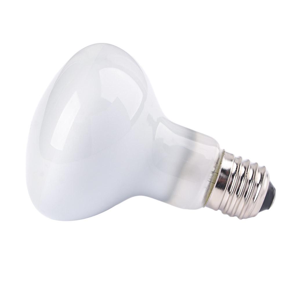 Lizard Temperature Controller  - Basking Bulb Halogen recensie en prijs