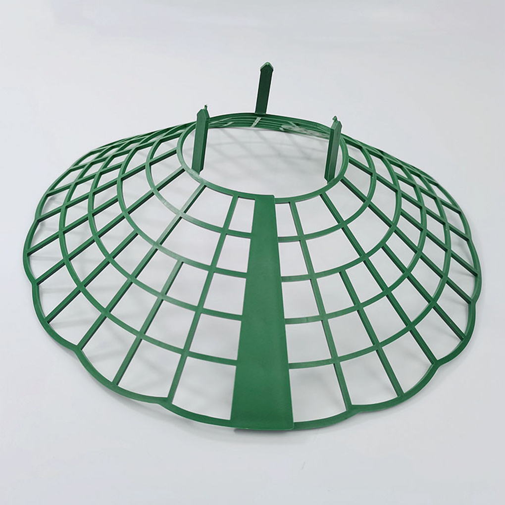 20PCS Strawberry Stand Green C - Vine Climbing Plastic recensie en prijs