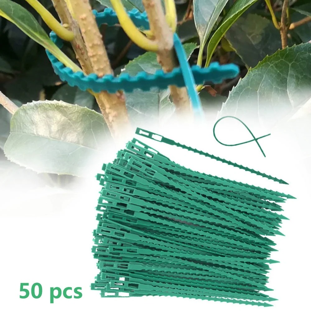 50pcs Adjustable Plastic Plant - Vine Climbing Plastic recensie en prijs