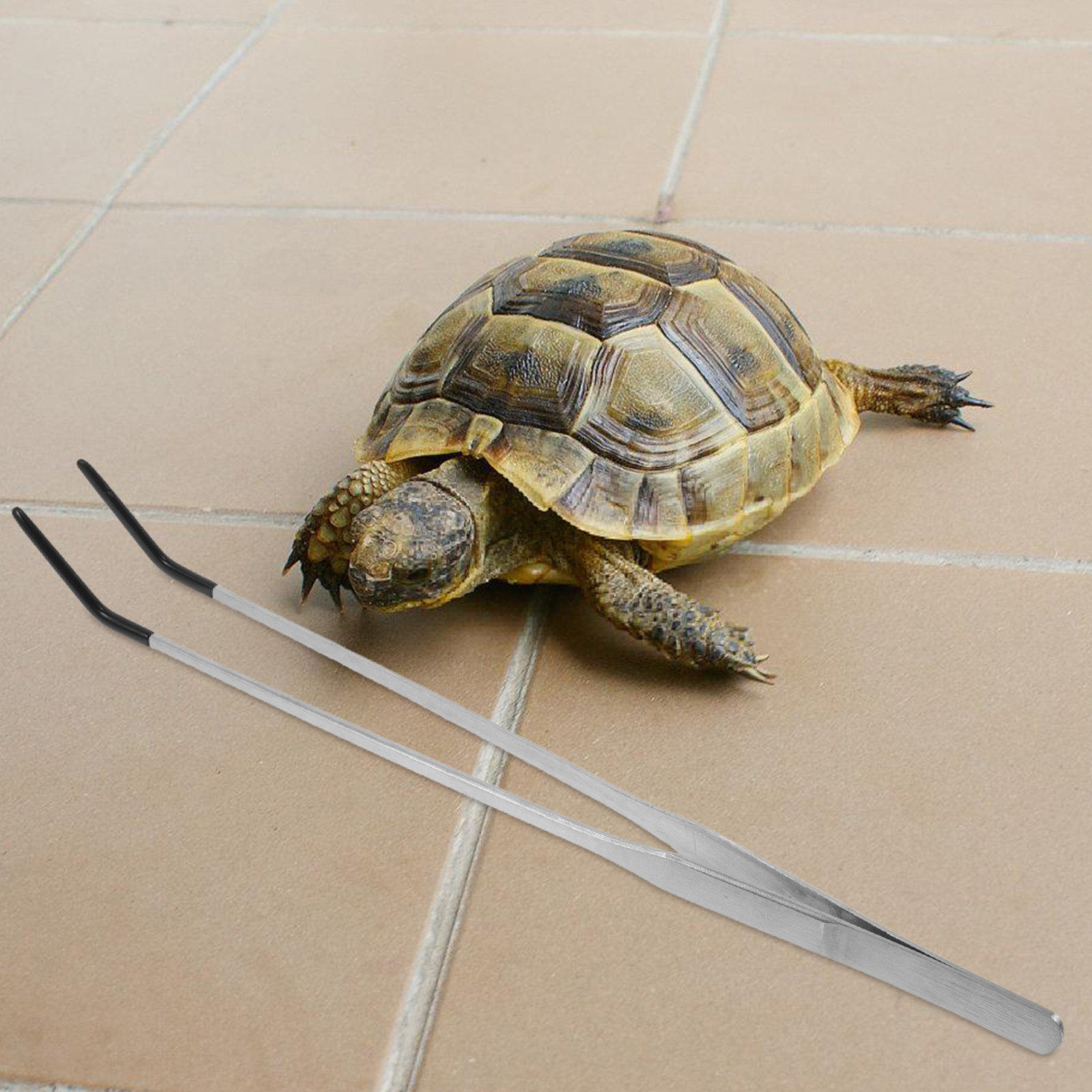 2Pcs Stainless Steel Feeding T - Feeding Tong Stainless recensie en prijs