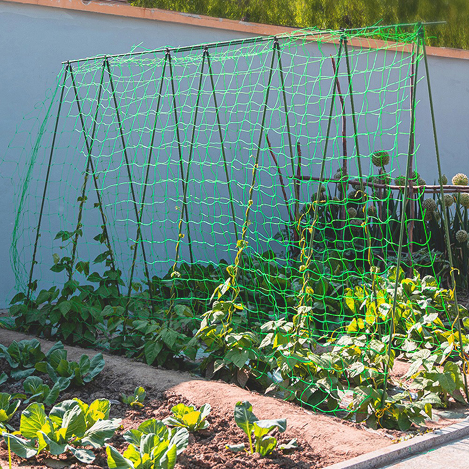Garden Netting Plant Vine Grow - Vine Climbing Plastic recensie en prijs
