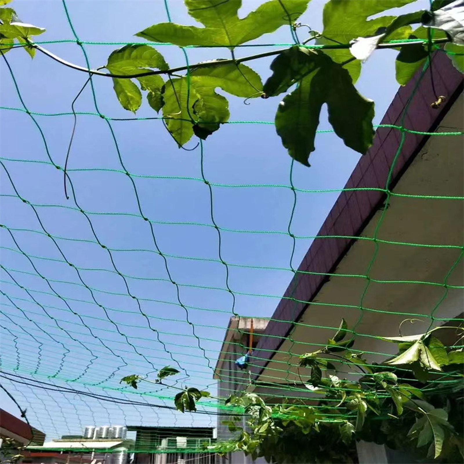 Garden Netting Plant Vine Grow - Vine Climbing Plastic recensie en prijs