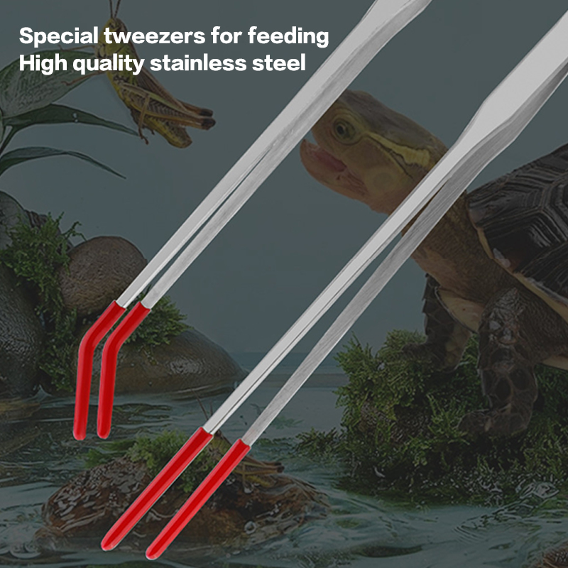 Stainless Steel Fish Tank Main - Feeding Tong Stainless recensie en prijs