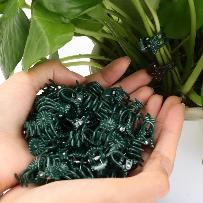 Wholesale Mini Plant Support C - Vine Climbing Plastic recensie en prijs