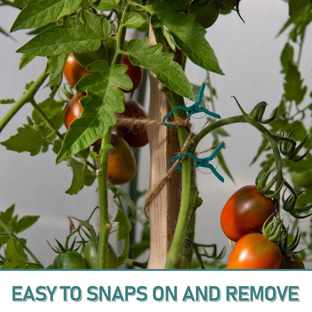 50Pcs Tomato Stem Support Clip - Vine Climbing Plastic recensie en prijs