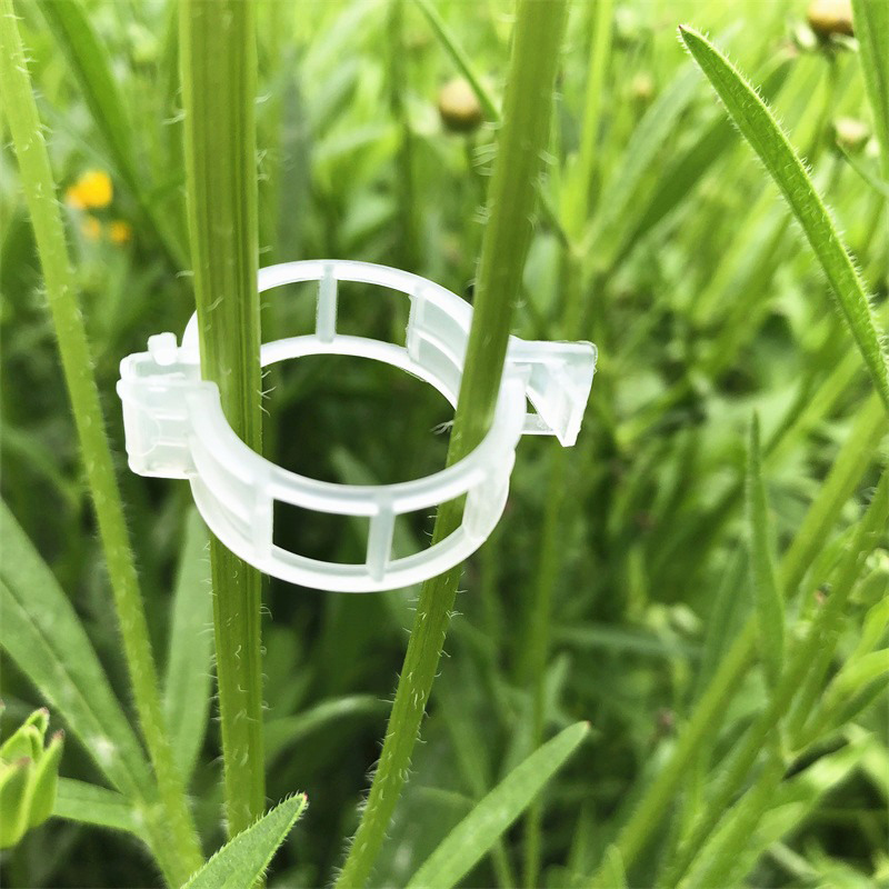 100pcs Clear Plastic Plant Cli - Vine Climbing Plastic recensie en prijs