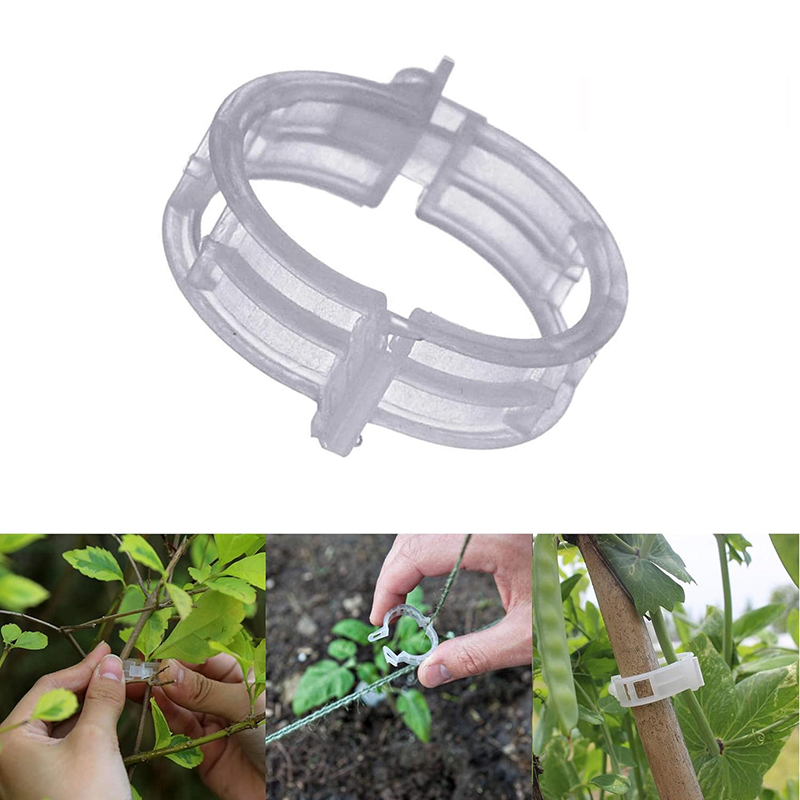 100pcs Clear Plastic Plant Cli - Vine Climbing Plastic recensie en prijs
