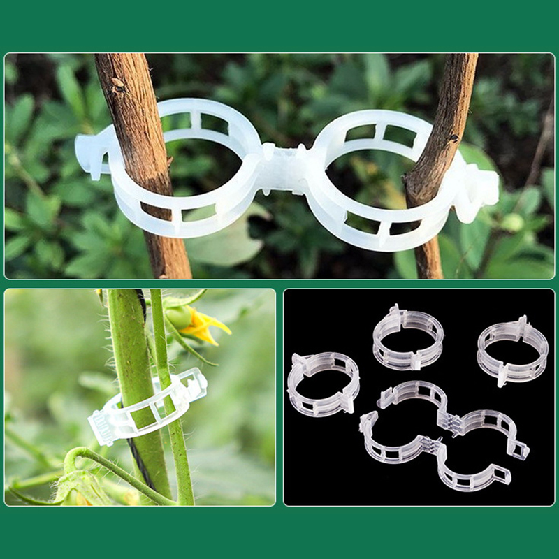 100pcs Clear Plastic Plant Cli - Vine Climbing Plastic recensie en prijs