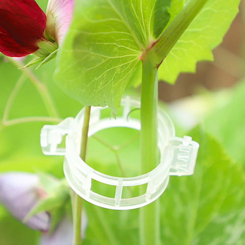 100pcs Clear Plastic Plant Cli - Vine Climbing Plastic recensie en prijs