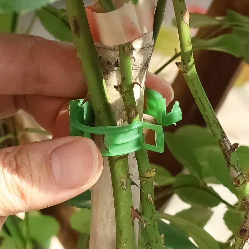 10-500Pcs Garden Plant Support - Vine Climbing Plastic recensie en prijs