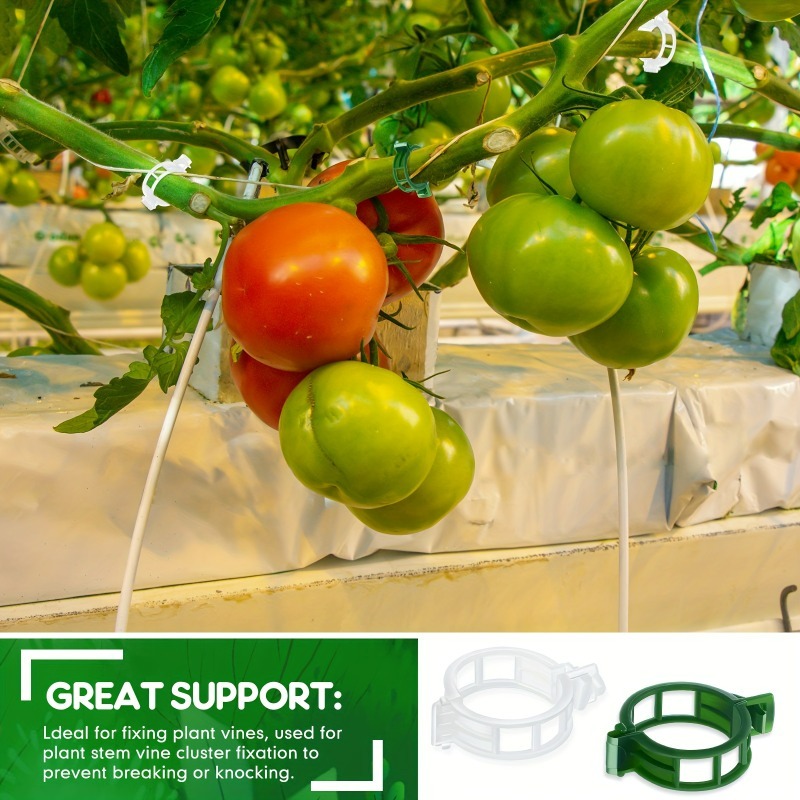10-500Pcs Garden Plant Support - Vine Climbing Plastic recensie en prijs