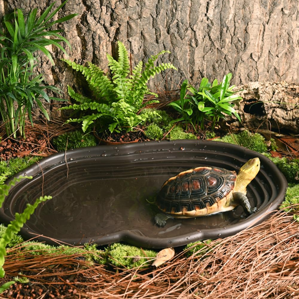 Reptile Bathing Dish Amphibian - Water Dish Reptile recensie en prijs