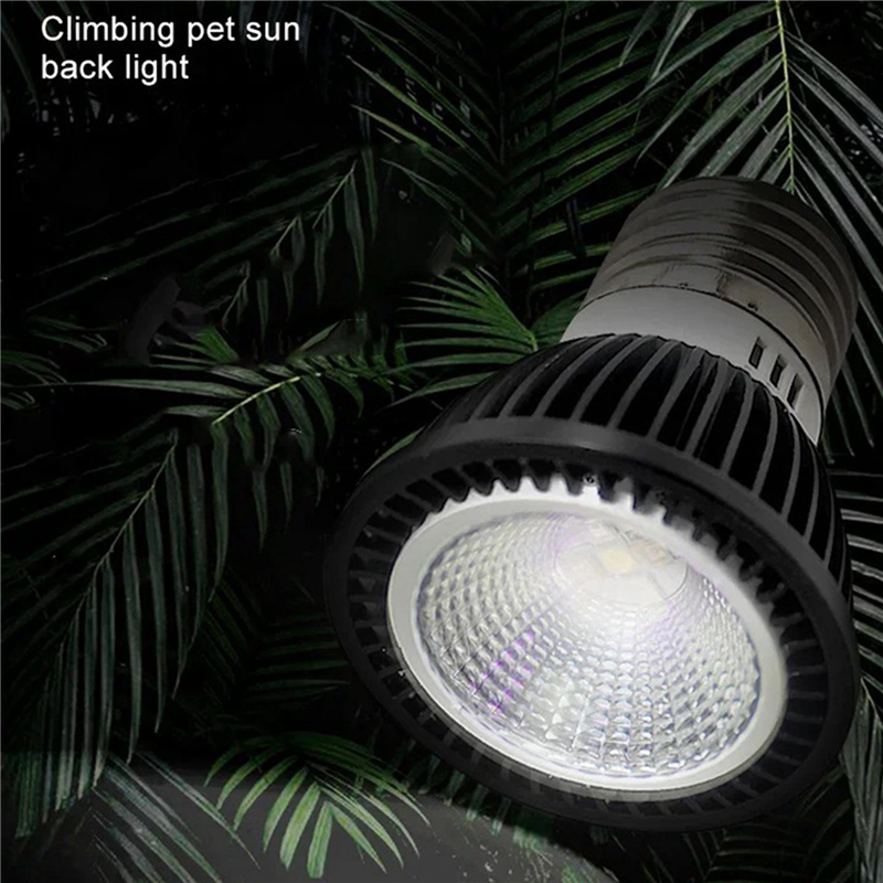A03F-5X 110V Reptile UVB Light - Calcium Powder Reptile recensie en prijs
