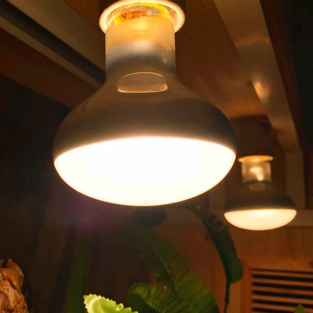 Turtle Temperature Controller  - Basking Bulb Halogen recensie en prijs