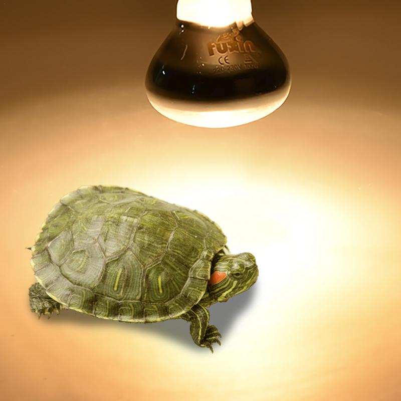 Pet Heating Lamp E27 Day Night - Ceramic Heat Emitter recensie en prijs