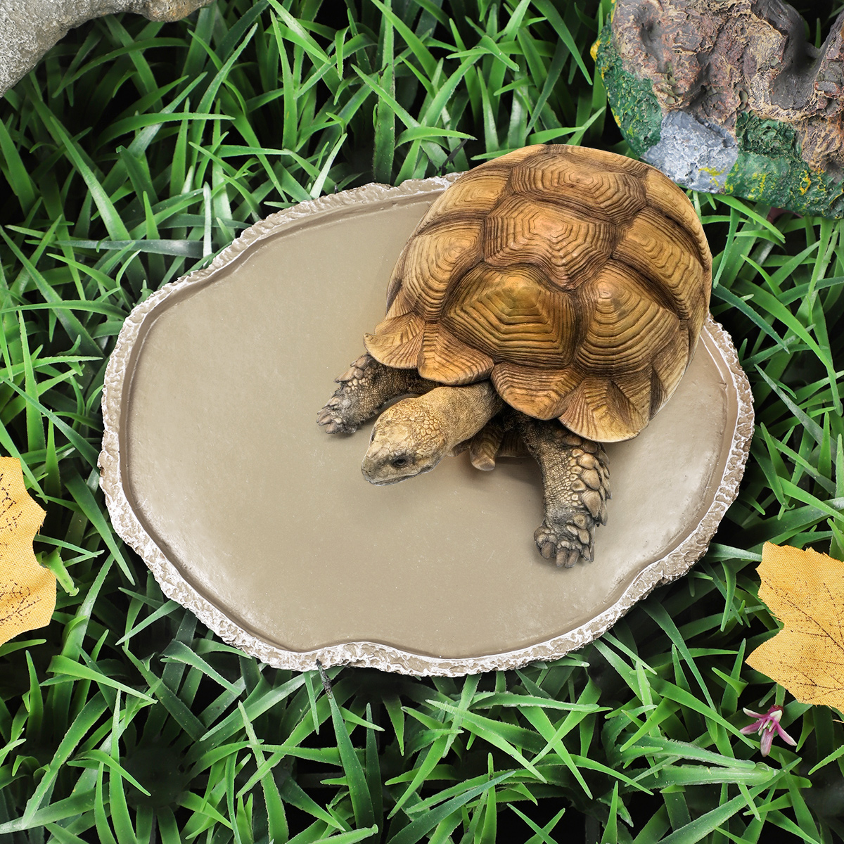 Pets Feeding Plate Reptile Fee - Water Dish Reptile recensie en prijs