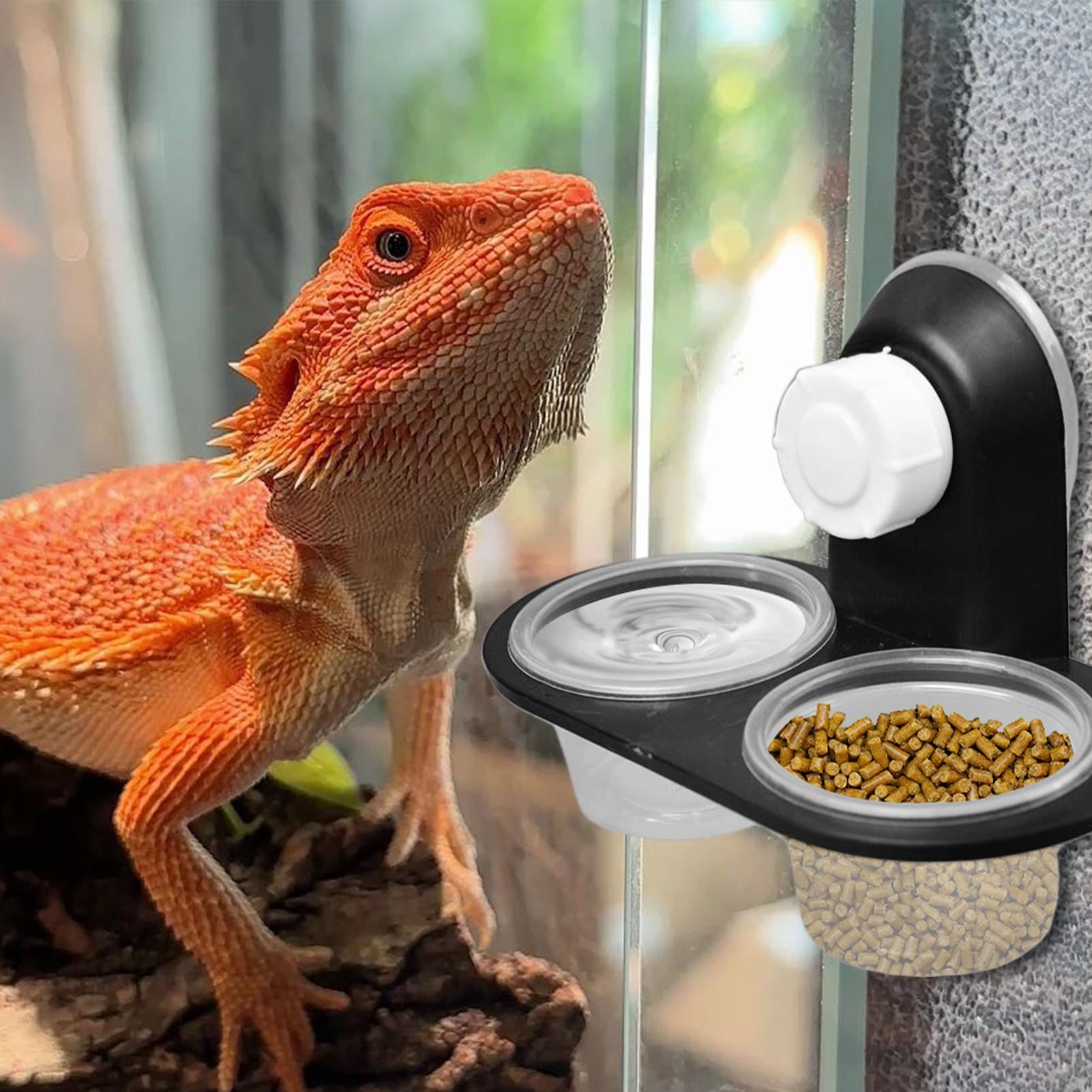 Gecko Food Dish Gecko Feeding  - Water Dish Reptile recensie en prijs