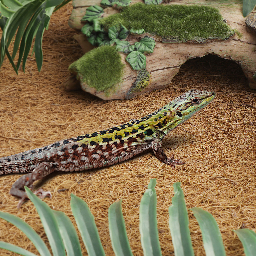 Reptile Terrarium Bedding Subs - Substrate Coconut Fiber recensie en prijs