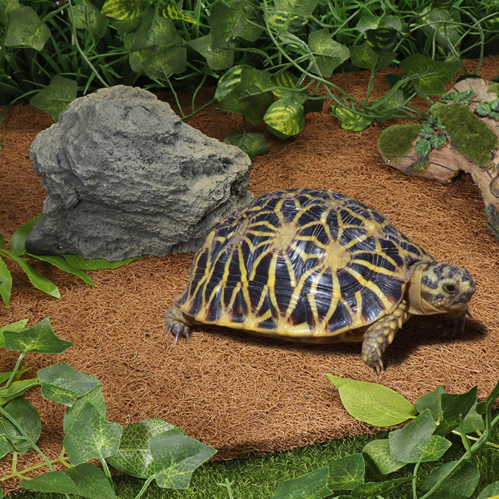 Reptile Terrarium Bedding Subs - Substrate Coconut Fiber recensie en prijs