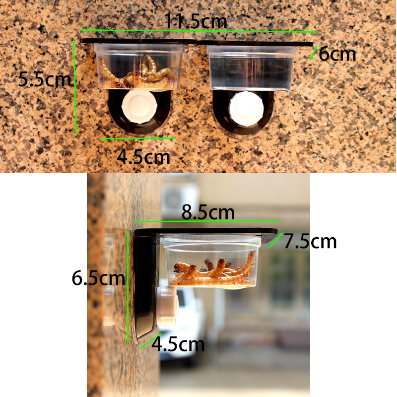 Reptile Tank Accessories Insec - Water Dish Reptile recensie en prijs