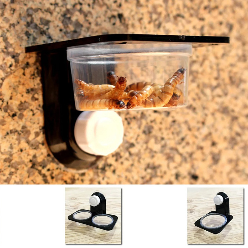 Reptile Tank Accessories Insec - Water Dish Reptile recensie en prijs