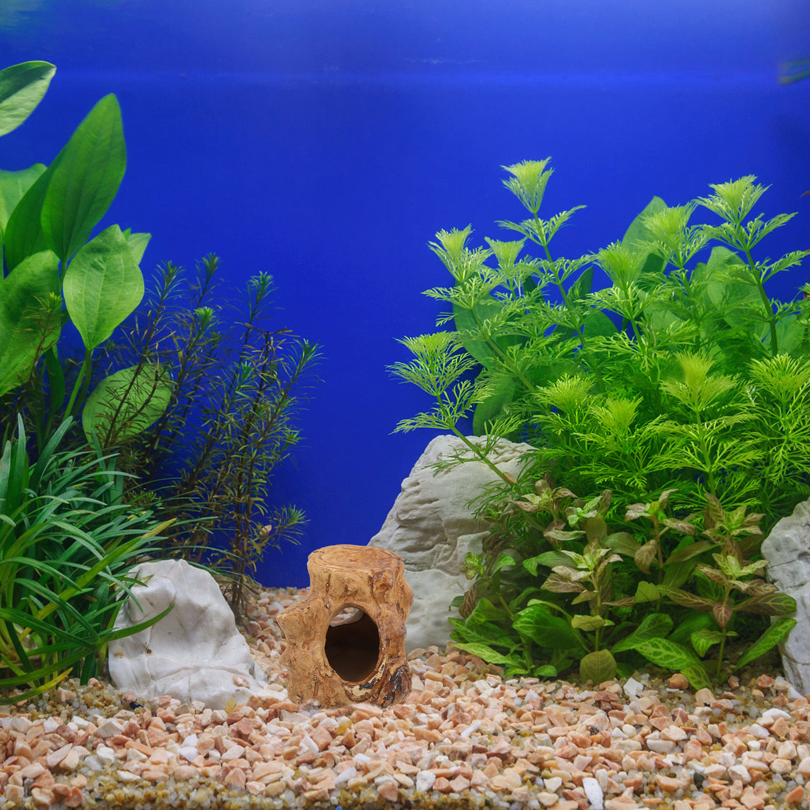 Pleco Caves Fish Tank Decorati - Hide Cave Ceramic recensie en prijs