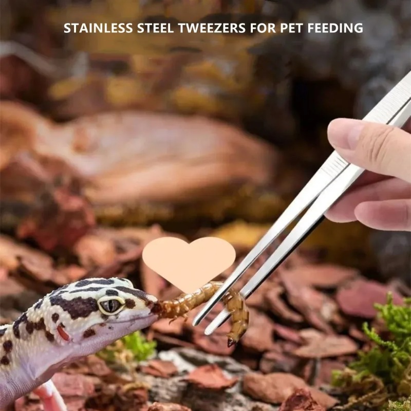 Stainless Multifuctional Steel - Feeding Tong Stainless recensie en prijs