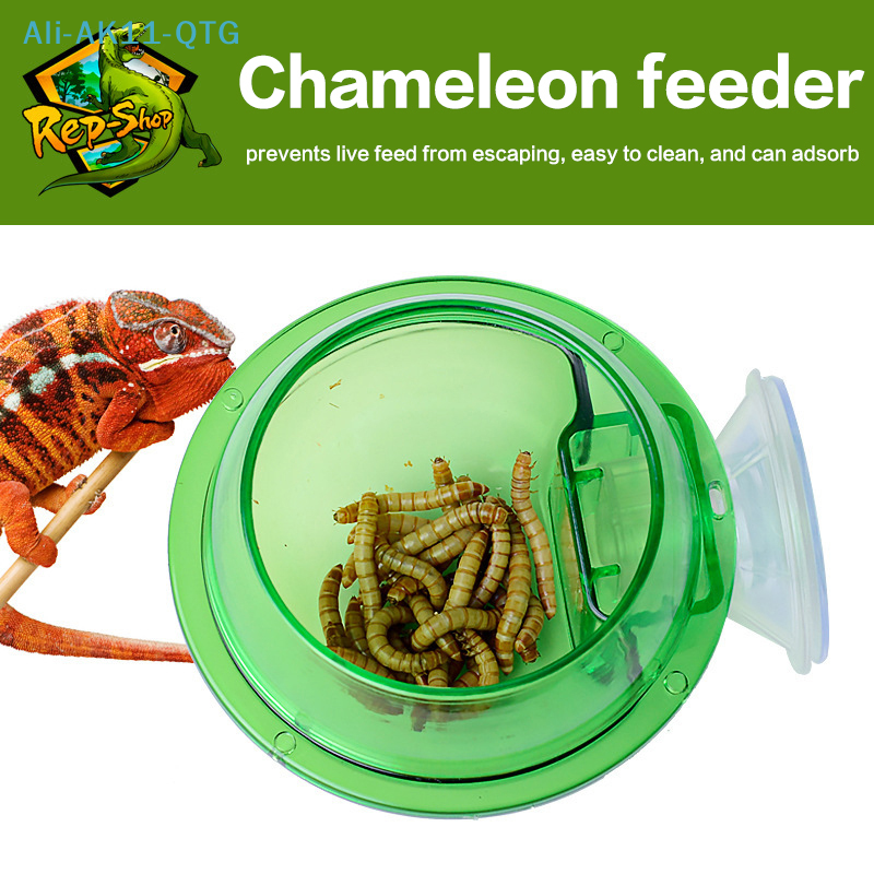 HOT! Arboreal Reptile Live Ant - Water Dish Reptile recensie en prijs