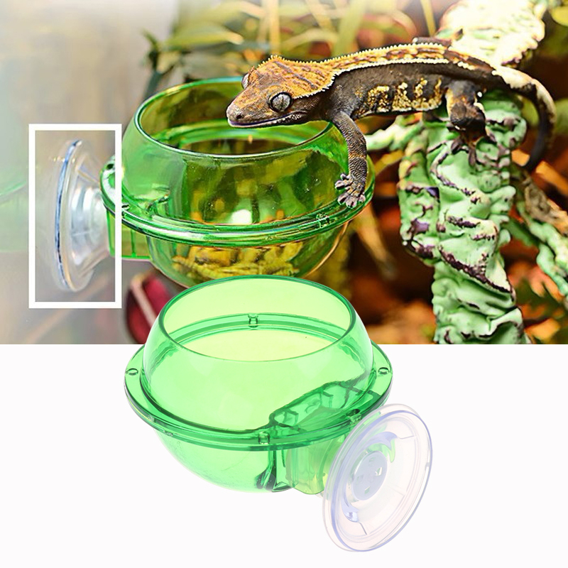 HOT! Arboreal Reptile Live Ant - Water Dish Reptile recensie en prijs