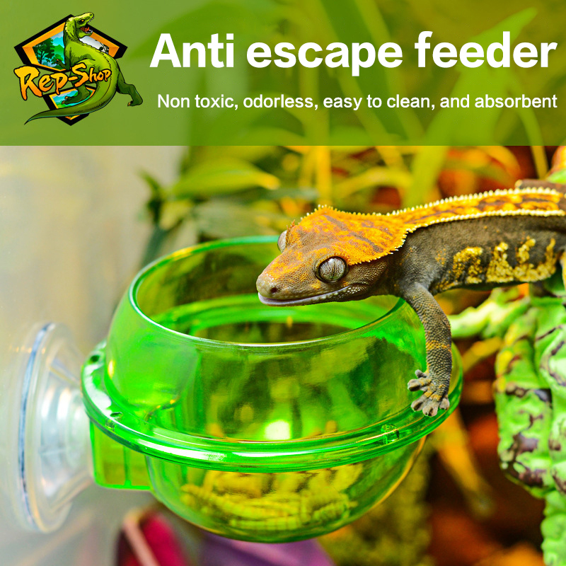 HOT! Arboreal Reptile Live Ant - Water Dish Reptile recensie en prijs