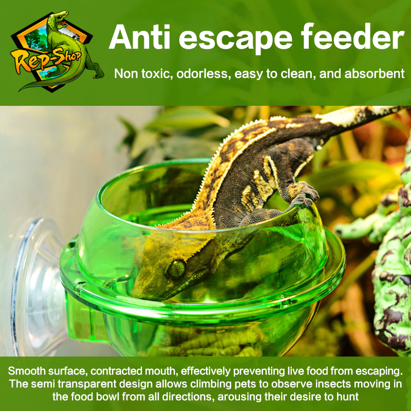 HOT! Arboreal Reptile Live Ant - Water Dish Reptile recensie en prijs