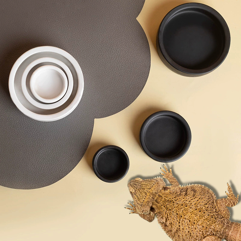 HOT! Reptile Food Bowl Anti-Es - Water Dish Reptile recensie en prijs