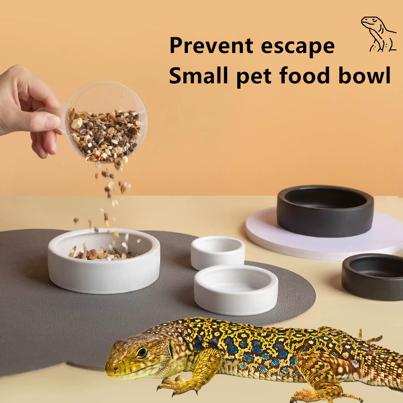 HOT! Reptile Food Bowl Anti-Es - Water Dish Reptile recensie en prijs