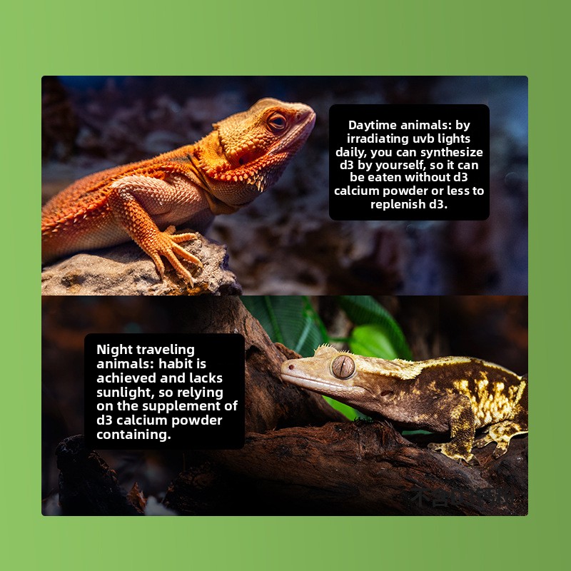 Reptizoo Reptile Calcium Powde - Calcium Powder Reptile recensie en prijs