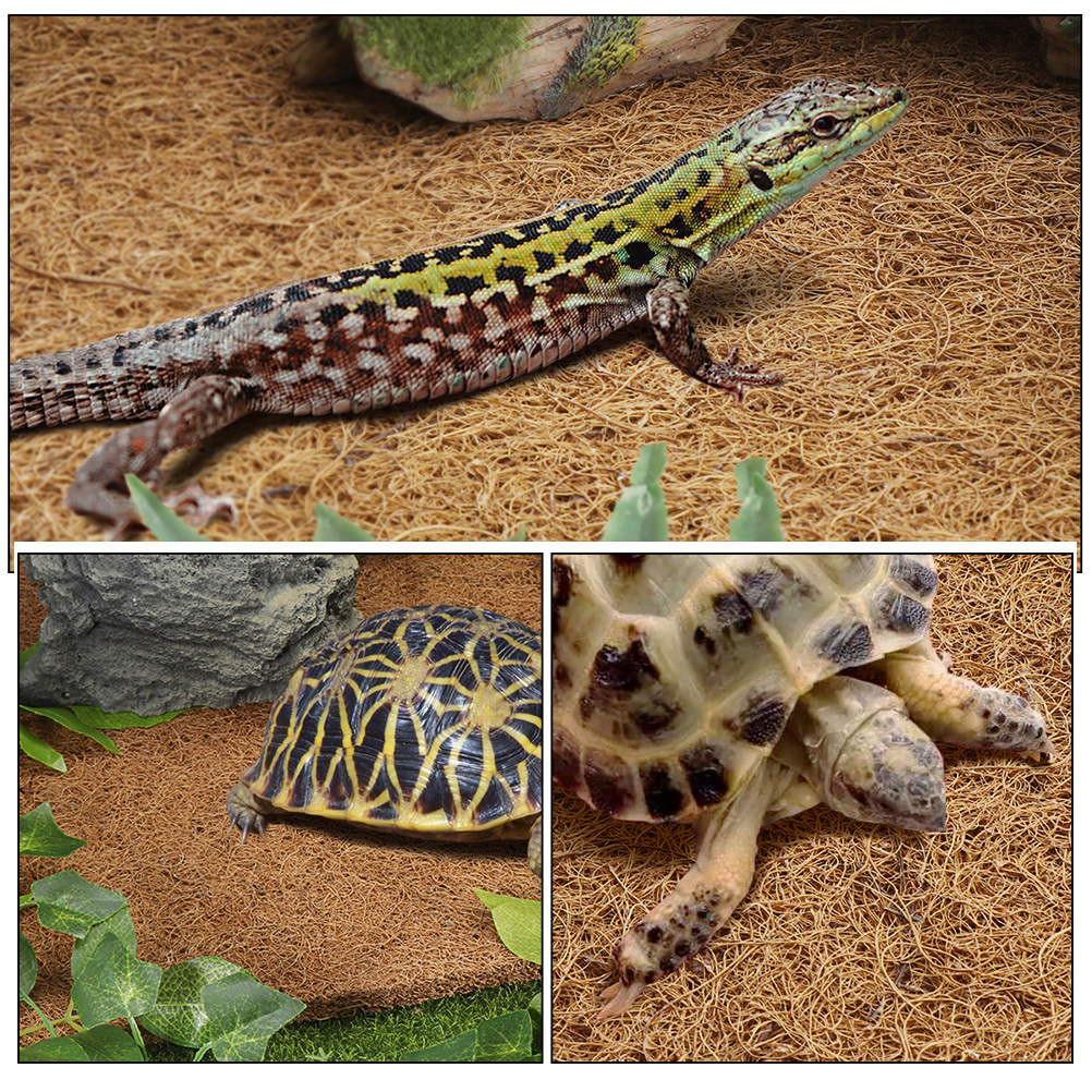 Reptile Carpet Natural Coconut - Substrate Coconut Fiber recensie en prijs