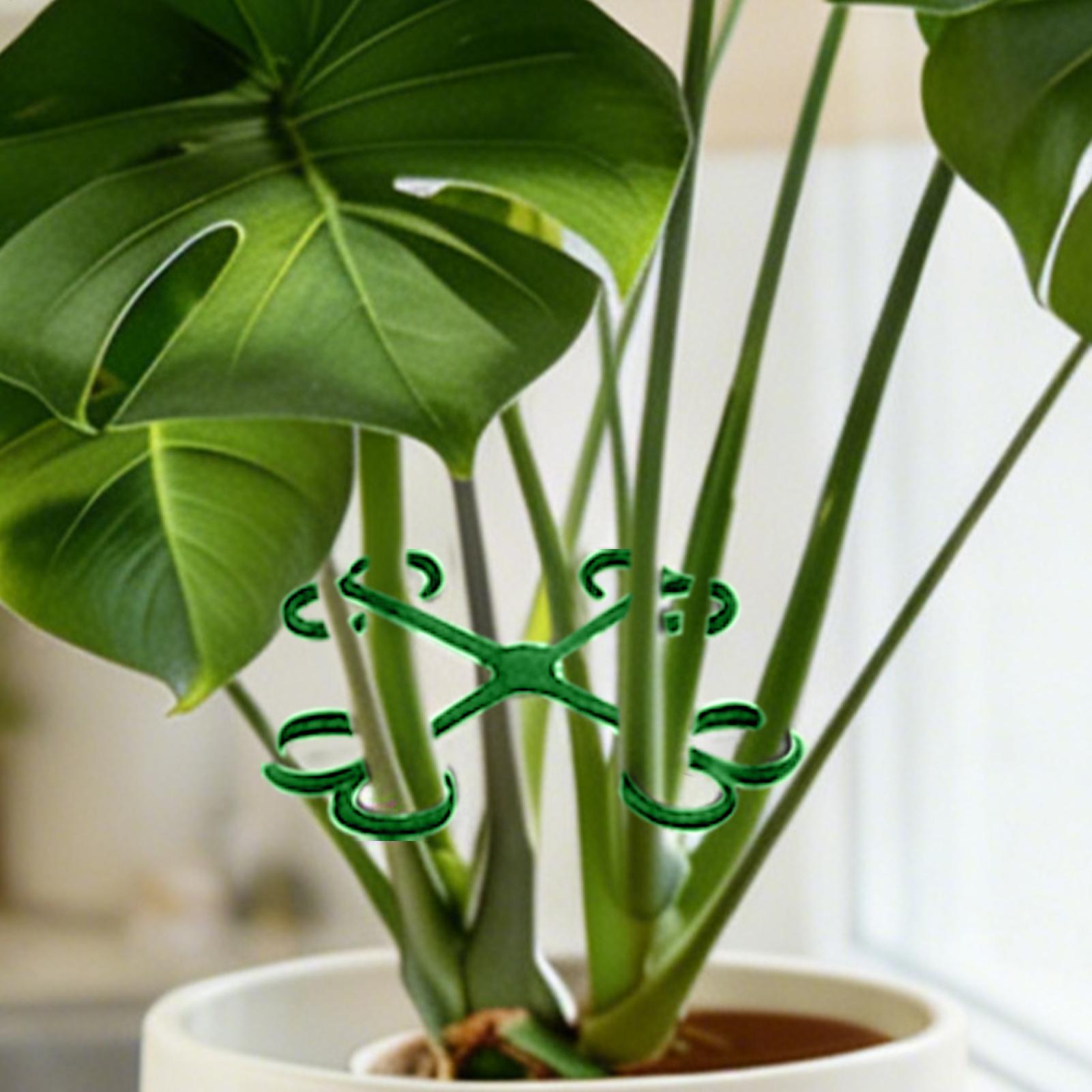 4Pcs Plant Stem Support Clips  - Vine Climbing Plastic recensie en prijs