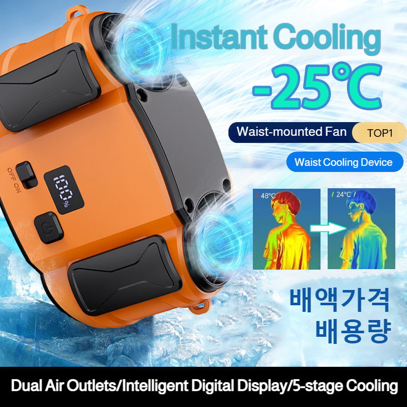 Outdoor Double Air Outlet Fan  - Timer Dual Outlet recensie en prijs