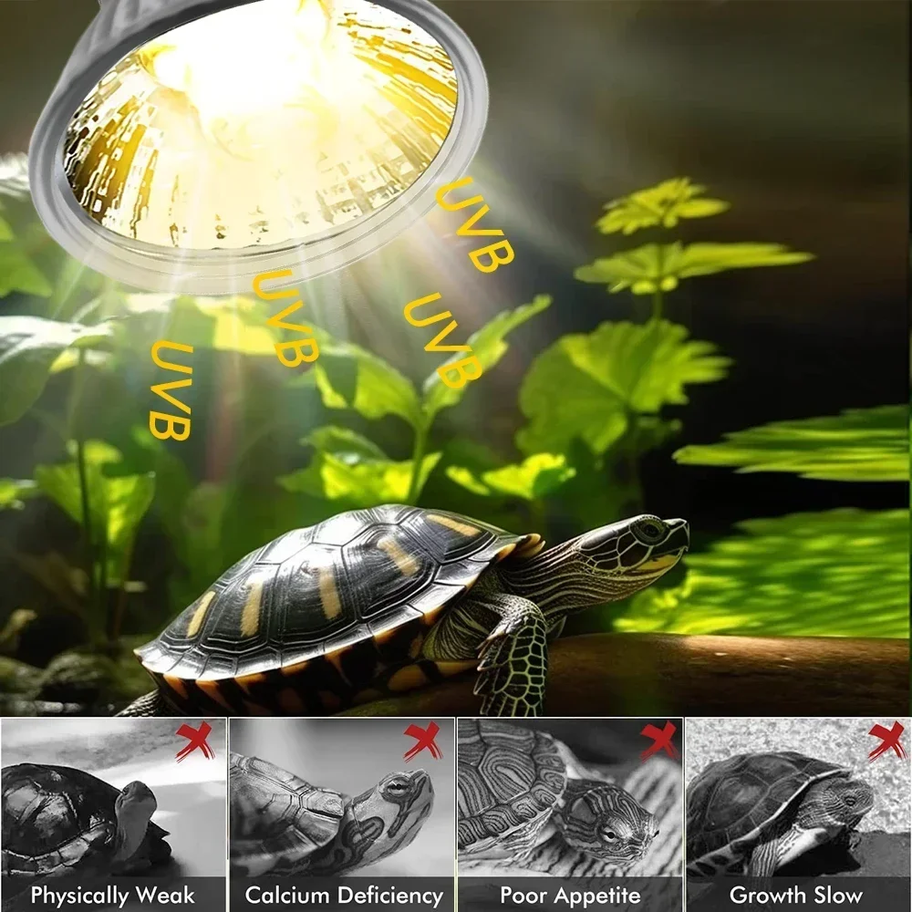 75/50/25W Tortoise Lizard Bask - Calcium Powder Reptile recensie en prijs