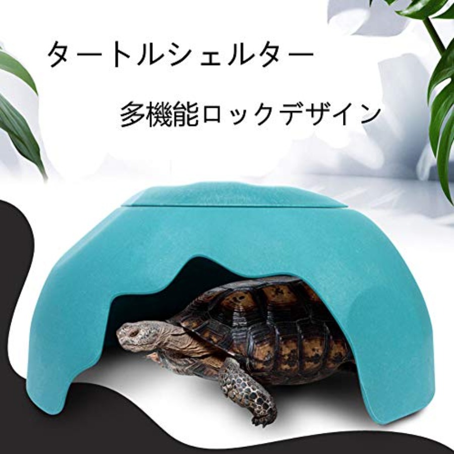 【Spot goods】Reptiles House wit - Hide Cave Ceramic recensie en prijs