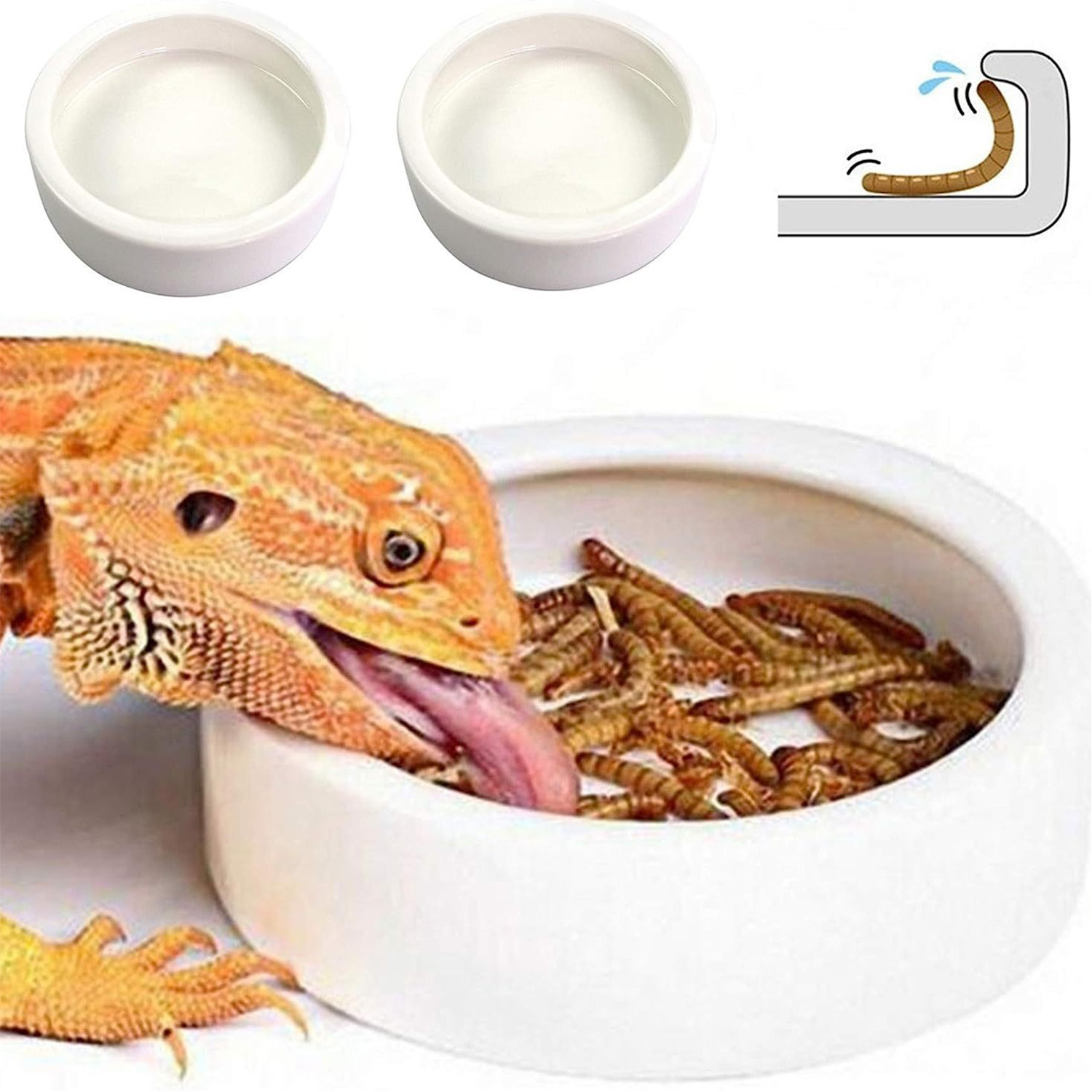 Reptile Food Bowl Feeding and  - Water Dish Reptile recensie en prijs